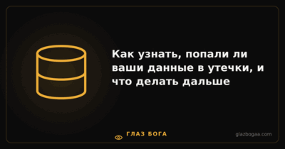 Глаз Бога — Как узнать, попали ли ваши данные в утечки, и что делать дальше
