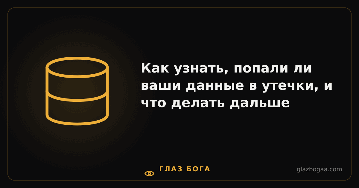 Глаз Бога — Как узнать, попали ли ваши данные в утечки, и что делать дальше